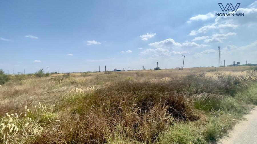 Teren Construcții intravilan de 6090 mp, în Albota