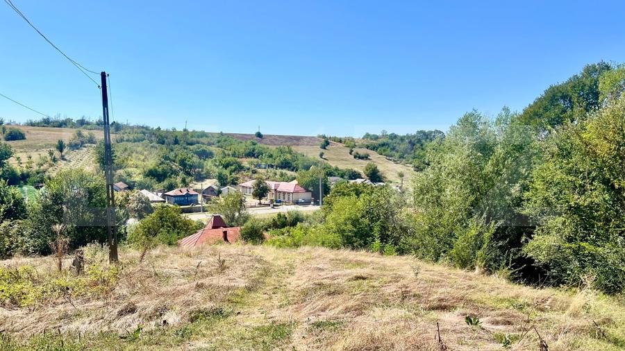 Casă individuală cu 3 camere cu Teren 10000 Mp în Ungureni