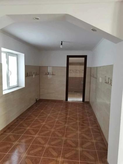Casă cu Teren 5024 Mp în Nufăru