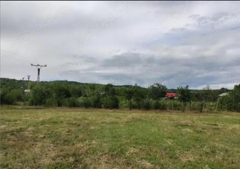 Teren de 6600 mp, în Pietroasele