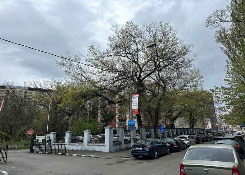 Spațiu comercial, de 4,000 mp, în Victoriei