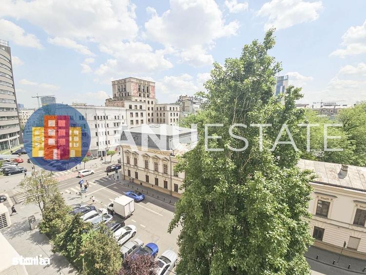 Piata Victoriei 2` Metrou Parcul Kiseleff Lascar Catargiu UltraCentral - 6