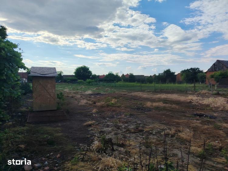 Casă cu 5 camere cu Teren 1600 Mp în Central