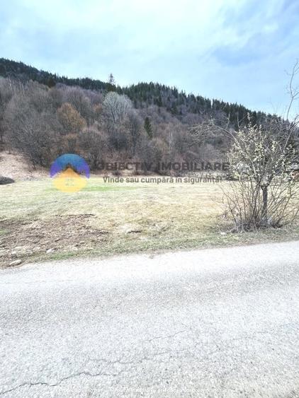 Teren intravilan de 2207 mp, în Tarcău