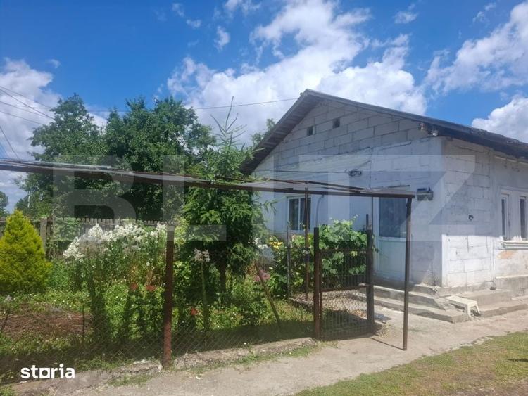 Casă cu 5 camere cu Teren 5800 Mp în Crângurile