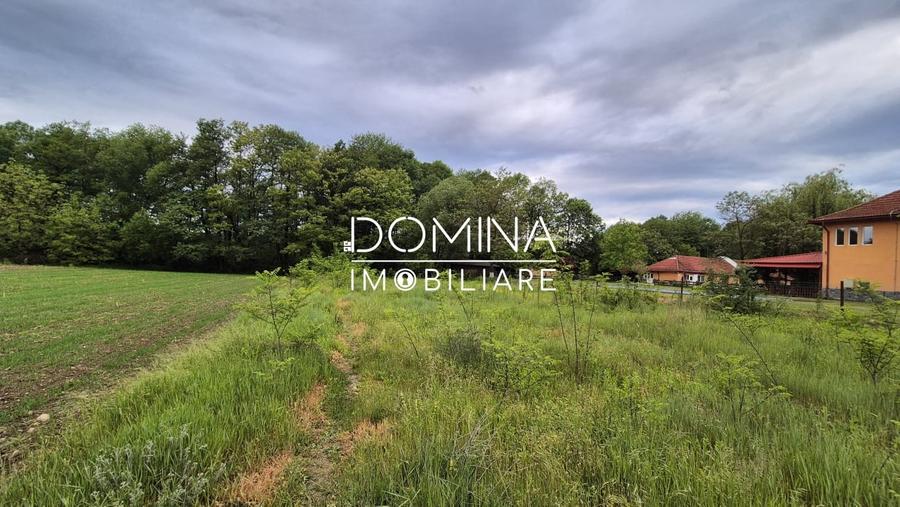 Teren Construcții intravilan de 2391 mp, în Arcani