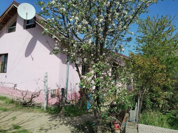 Casă cu 4 camere în Bordei
