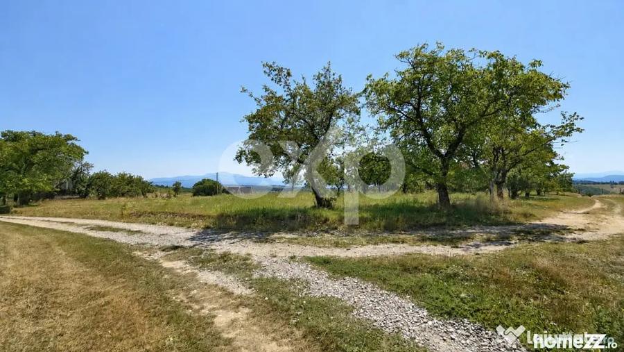 Teren în Poiana Mărului