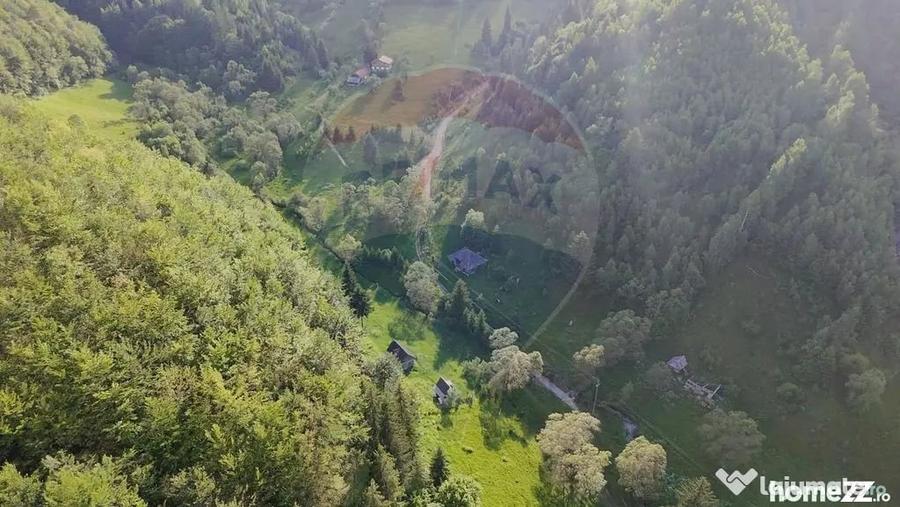 Teren în Șirnea