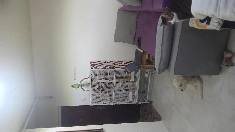 Garsonieră decomandată în Brâncoveanu
