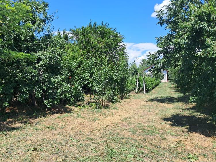 Casă cu 3 camere cu Canalizare în Cuculeasa