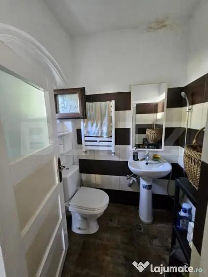 Casa individuala de vanzare in exclusivitate Tomsani - 13