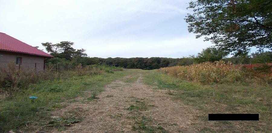 Teren agricol intravilan de 2912 mp, în Crevedia