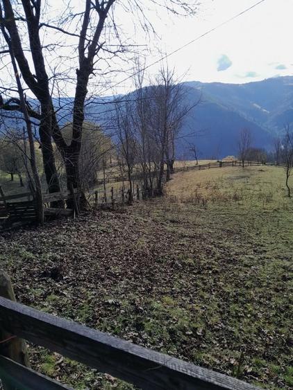 Teren de 1398 mp, în Albac