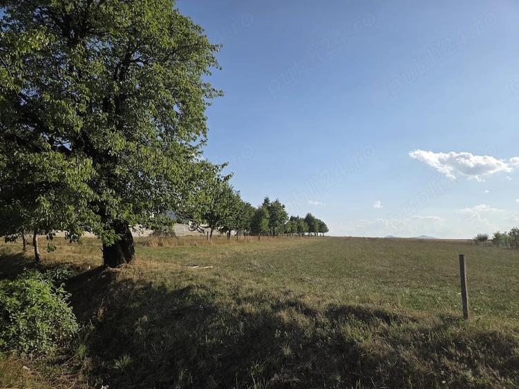 Casă cu 3 camere cu Teren 1200 Mp în Grumăzești