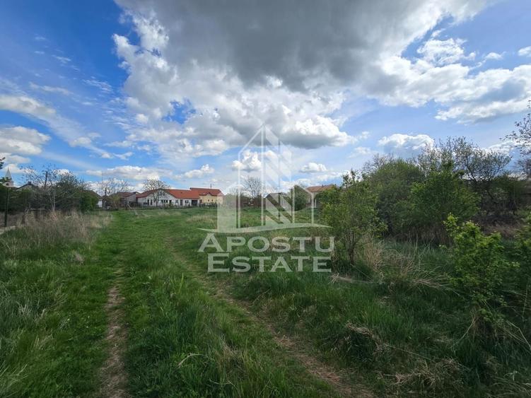 Teren Construcții intravilan de 2000 mp, în Fântânele