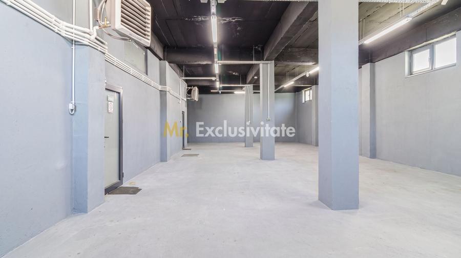 Spațiu industrial, de 306 mp, în Doamna Ghica