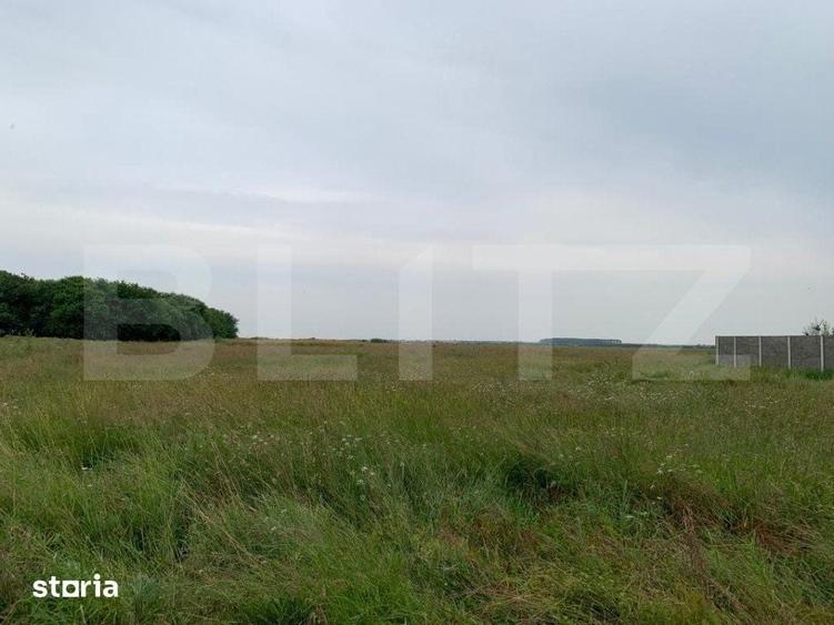 Teren de 672 mp, în Sânandrei