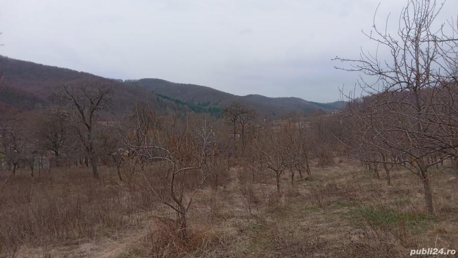 Teren de 4000 mp, în Tutana