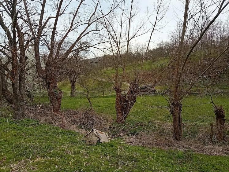 Casă cu Teren 7000 Mp în Poieni (Densuș)