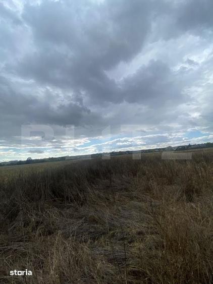 Teren de 2500 mp, în Lucieni