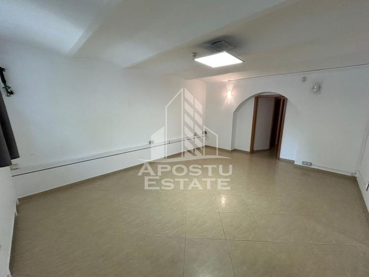 Birou, de 650 mp, în Elisabetin