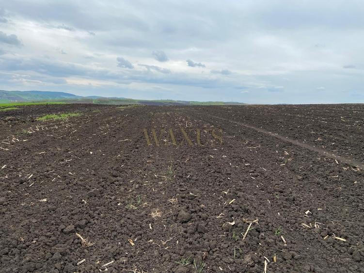 Teren agricol extravilan de 10200 mp, în Țagu