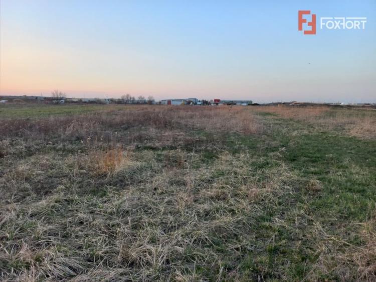 Teren Construcții extravilan de 4464 mp, în Ghiroda