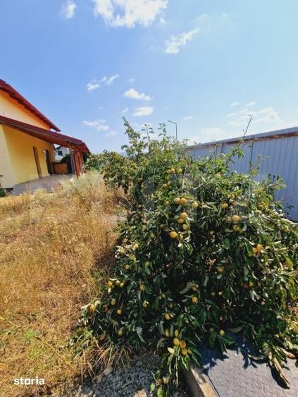 Casa 5 camere, Tarlungeni - 15