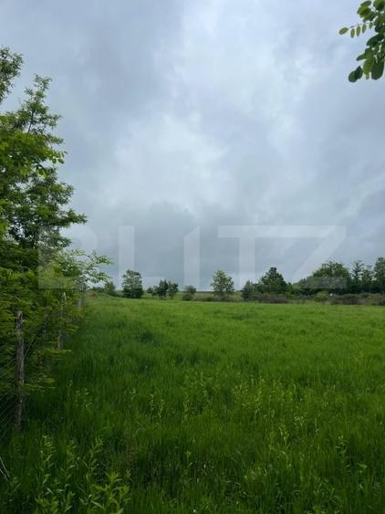 Teren Construcții intravilan de 2917 mp, în Meseșenii de Sus