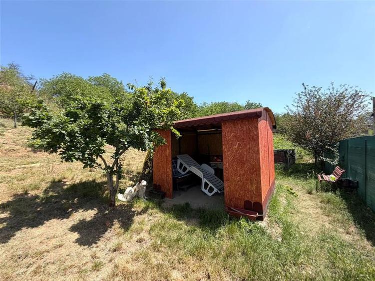 TEREN INTRAVILAN CU PIVNITA | 884 MP | ZONA EPISCOPIA | ORADEA - 7