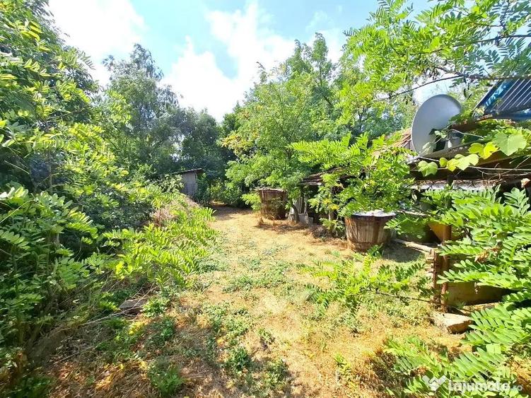 Casă cu 3 camere cu Teren 4400 Mp în Vulturu