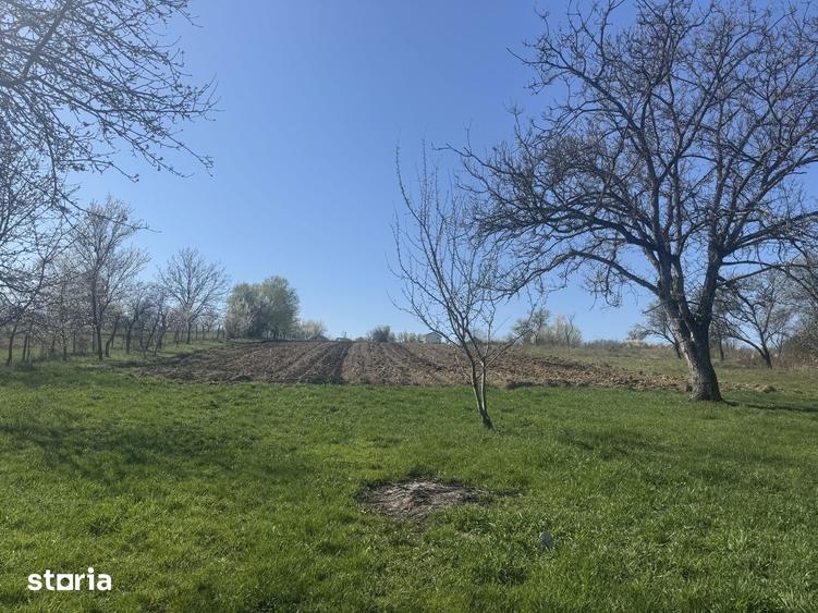 Casă cu 3 camere cu Teren 4500 Mp în Băița