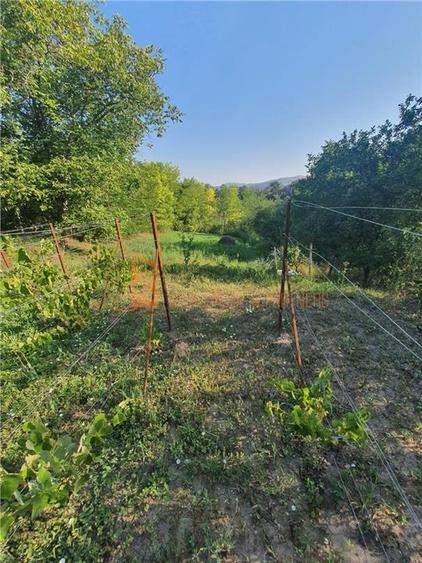 Teren intravilan de 1717 mp, în Beceni