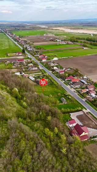Teren Construcții intravilan de 10000 mp, în Roșiori