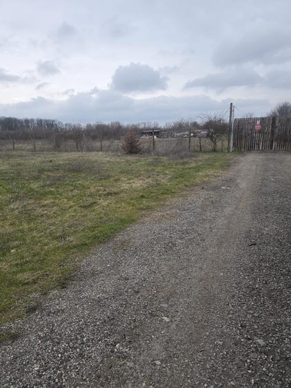 Teren Construcții intravilan de 741 mp, în Băneasa