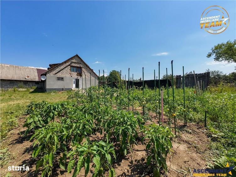 Casă cu 5 camere cu Teren 1170 Mp în Ghidfalău