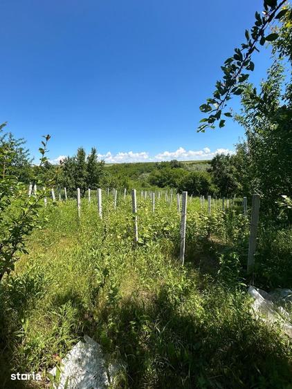 Casă cu 2 camere cu Teren 1200 Mp în Schitu Duca