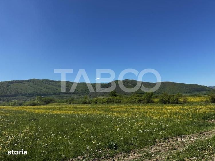 Teren intravilan in Poplaca cu vedere la munti pretabil cabana - 1