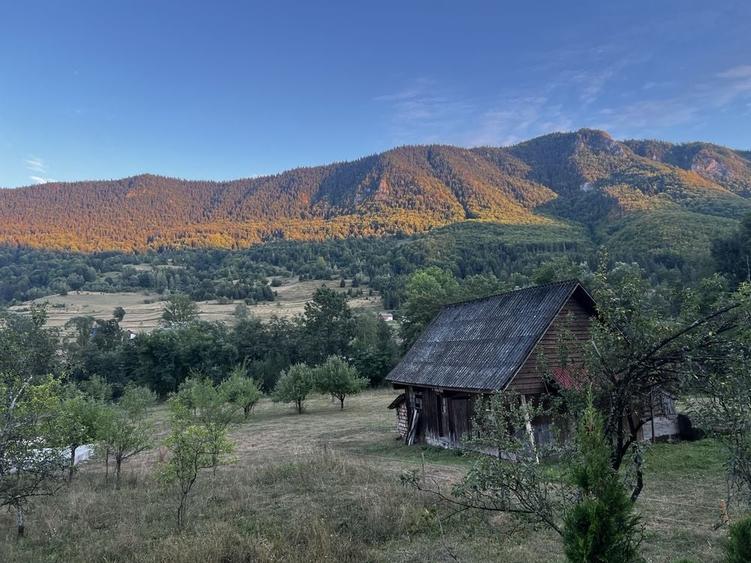 Spațiu comercial, în Vidra