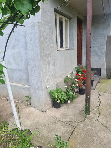 Casă cu 6 camere cu Teren 2 Mp în Parepa-Rușani
