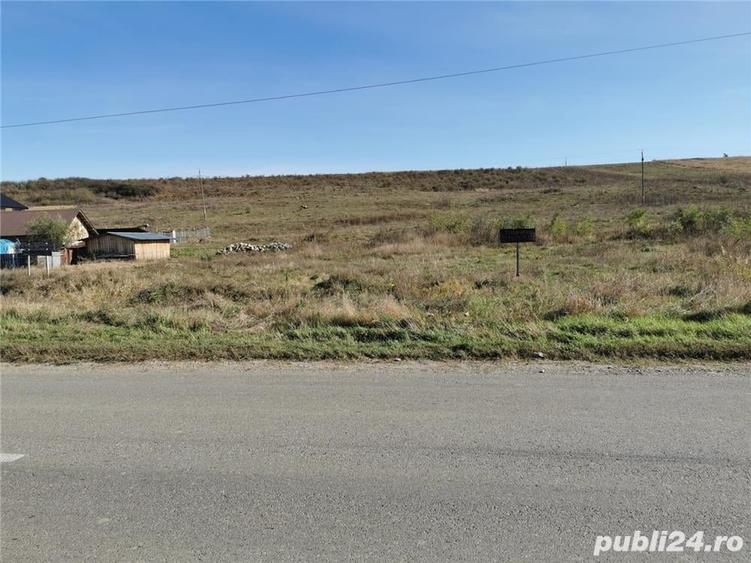Teren de 5000 mp, în Ciurea