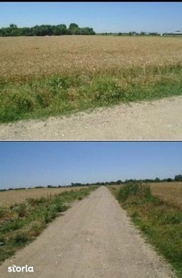 Teren de 5700 mp, în Domnești