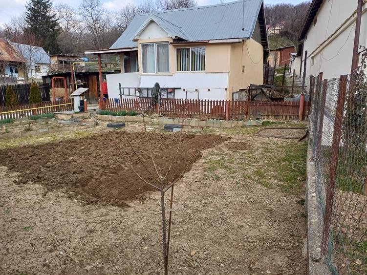 Casă cu 3 camere în Mislea