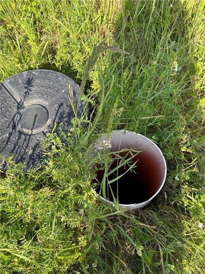 24 Terenuri- Mosnita Noua- TOATE UTILITATILE- zona in plina dezvoltare - 2