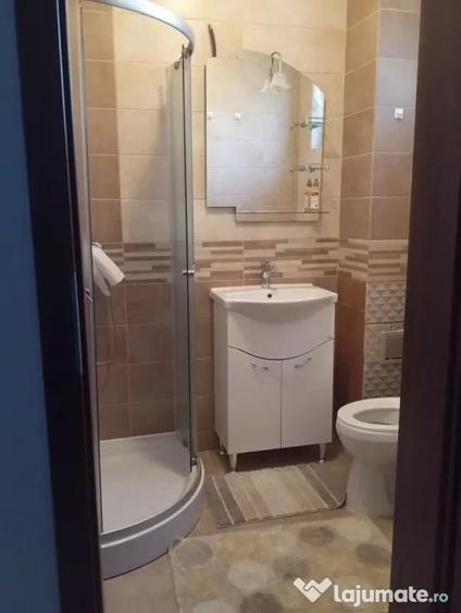 Dimitrie leonida studio cu gradina si terasa parter - Bucuresti (Bucuresti-Ilfov) - 2