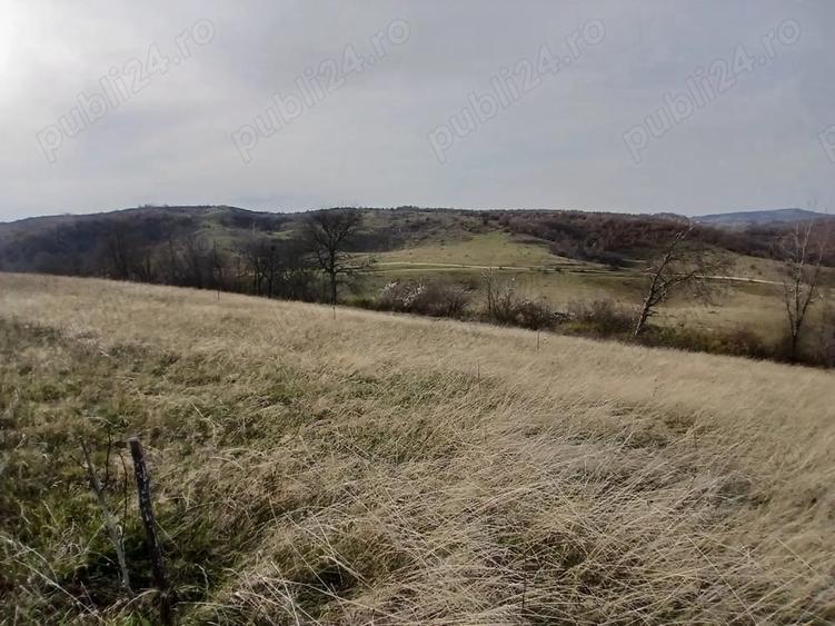 Teren de 19150 mp, în Tomnatic