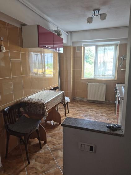 Apartament cu 2 camere semidecomandat în Milcov