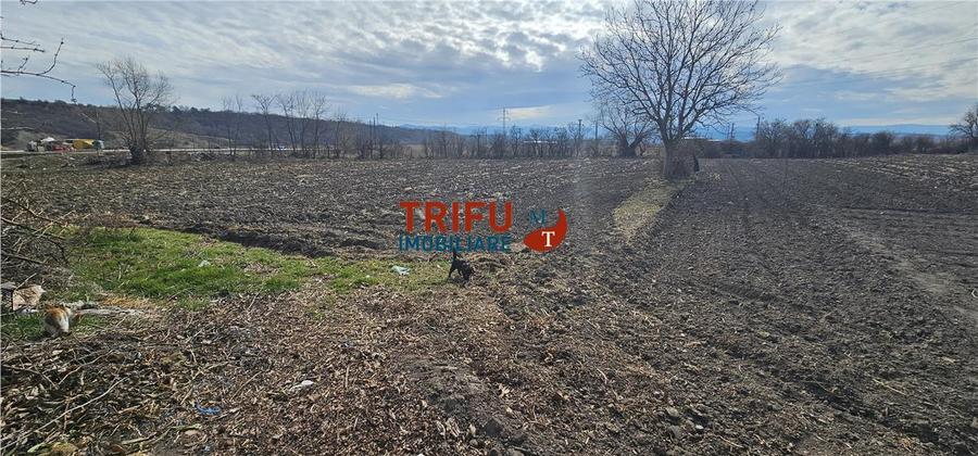 Teren Construcții intravilan de 8932 mp, în Șibot