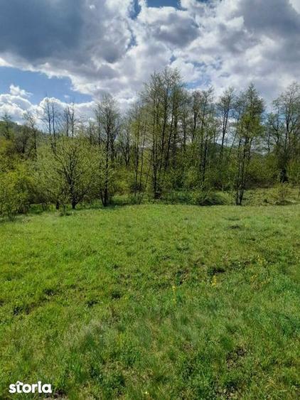 Teren de 1632 mp, în Oituz